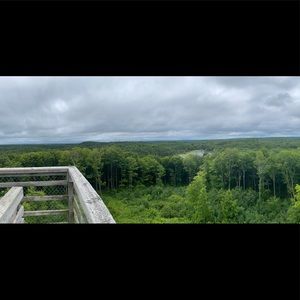 Meet your Posher, Cheryl